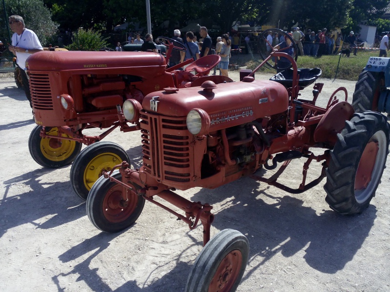 la Fête de l'Agriculture à St THEODORIT  20 et 21 Juin 2015 151391IMG20150621104834