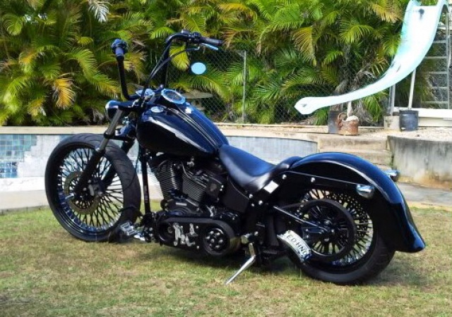 PHOTOS de Beaux Softails, de moches & de Bizarres.. - Page 4 153263image