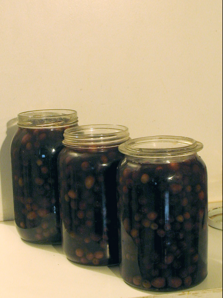 olives 153310olives03