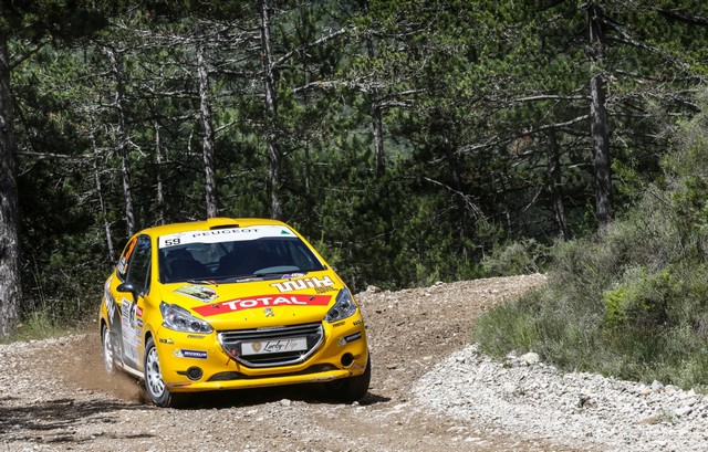  Les Peugeot 208 En Force ! 15393059354e5e3fdaa