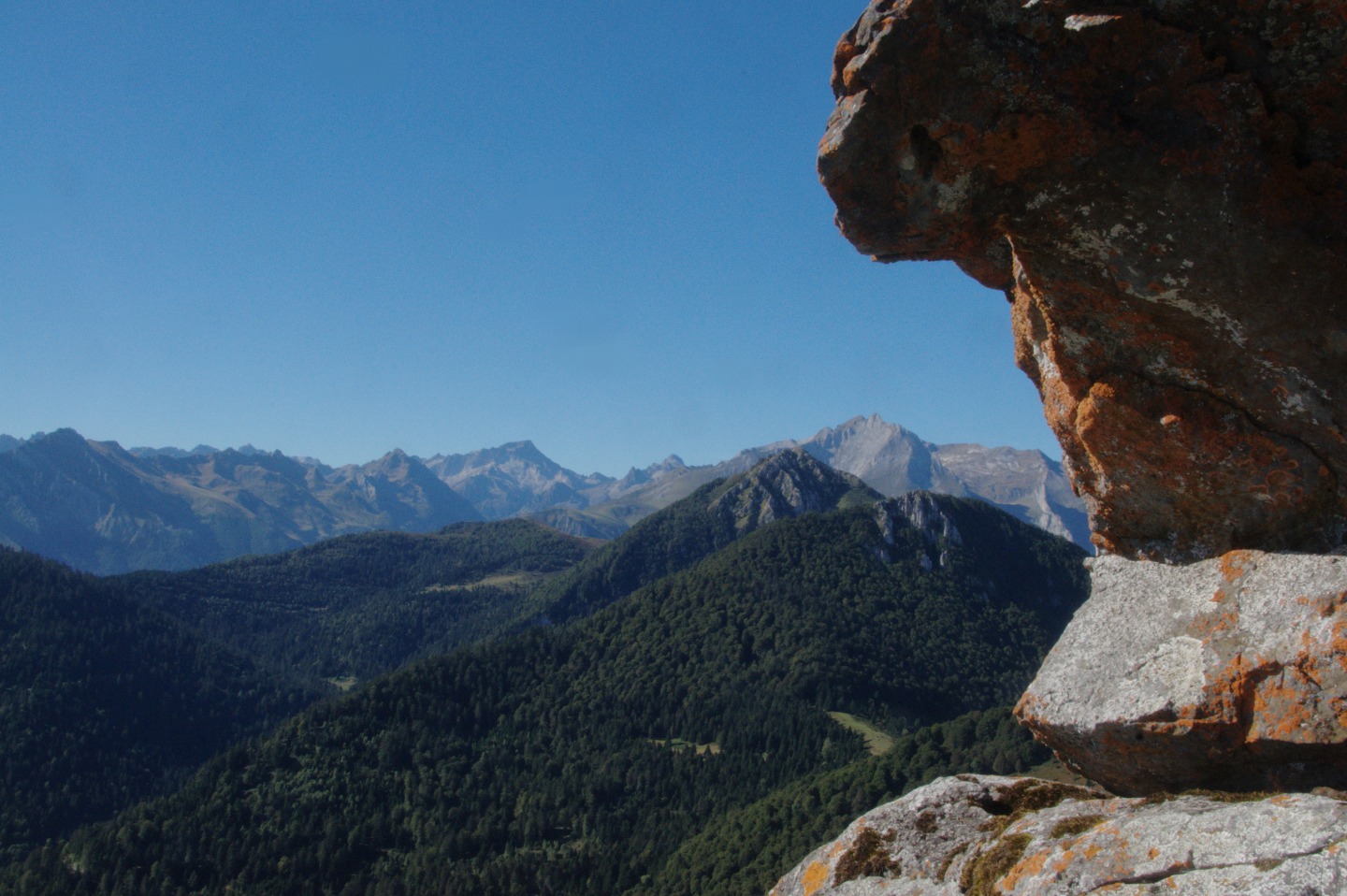 Une vie pyrénéenne de labrit des pyrénées - Page 15 156170gra0568