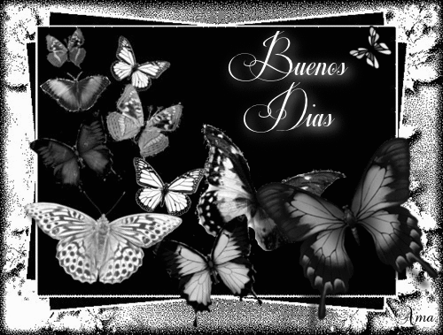 Mariposas en Negro y Blanco 156835dias
