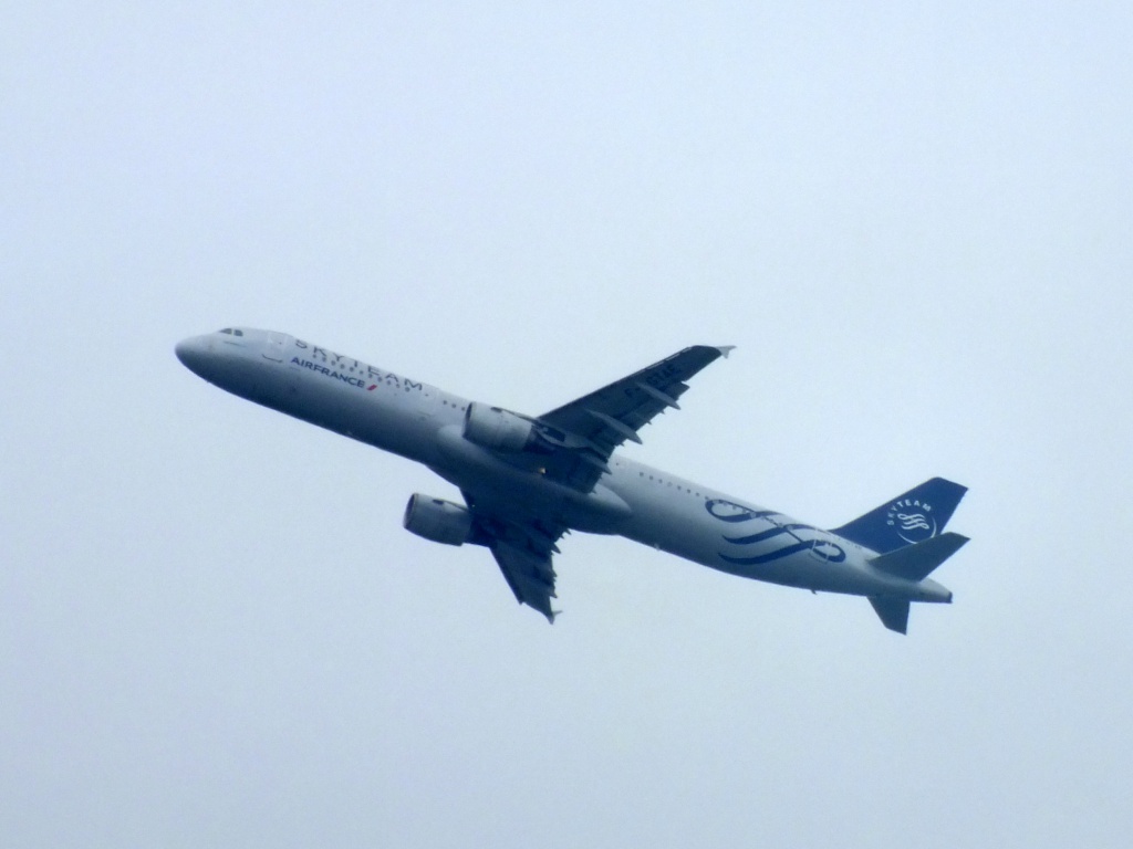 [F-GTAE] A321 Air France Skyteam c/s  156930Juinn4117