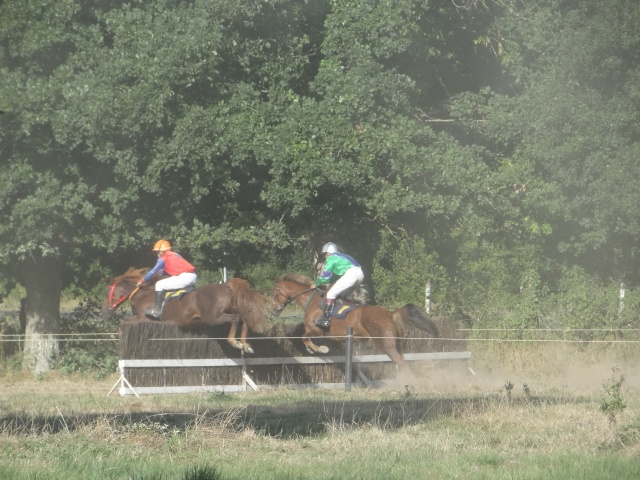 courses de poneys en bretagne 163464DSC00767