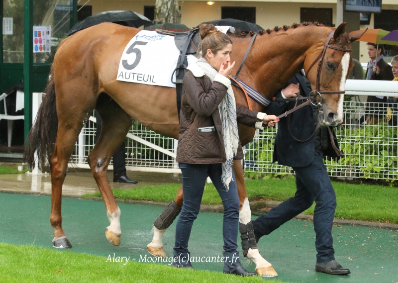 Photos Auteuil 22-05-2016 1685005J6A2738