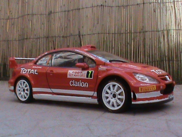 peugeot 307 wrc  169516Photo2286