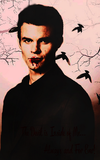 Daniel Gillies -200*320 169993gaby