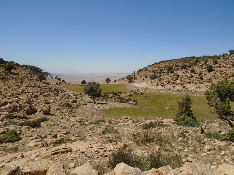 Maroc - Maroc 2016 de Franck, Speedy et Maxou 170295DSC00428