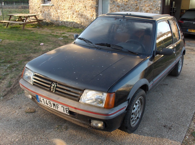 205 GTI 1600 COCO 172698HPIM1082