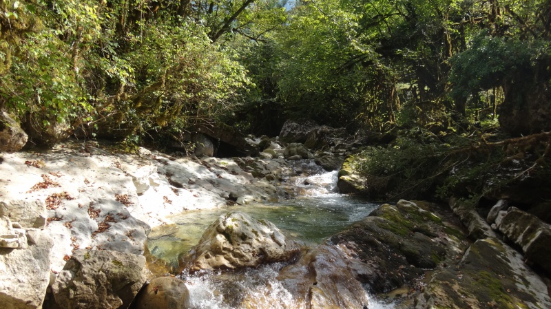 Une dernière fois en Drôme!!!! 173073DSC05371