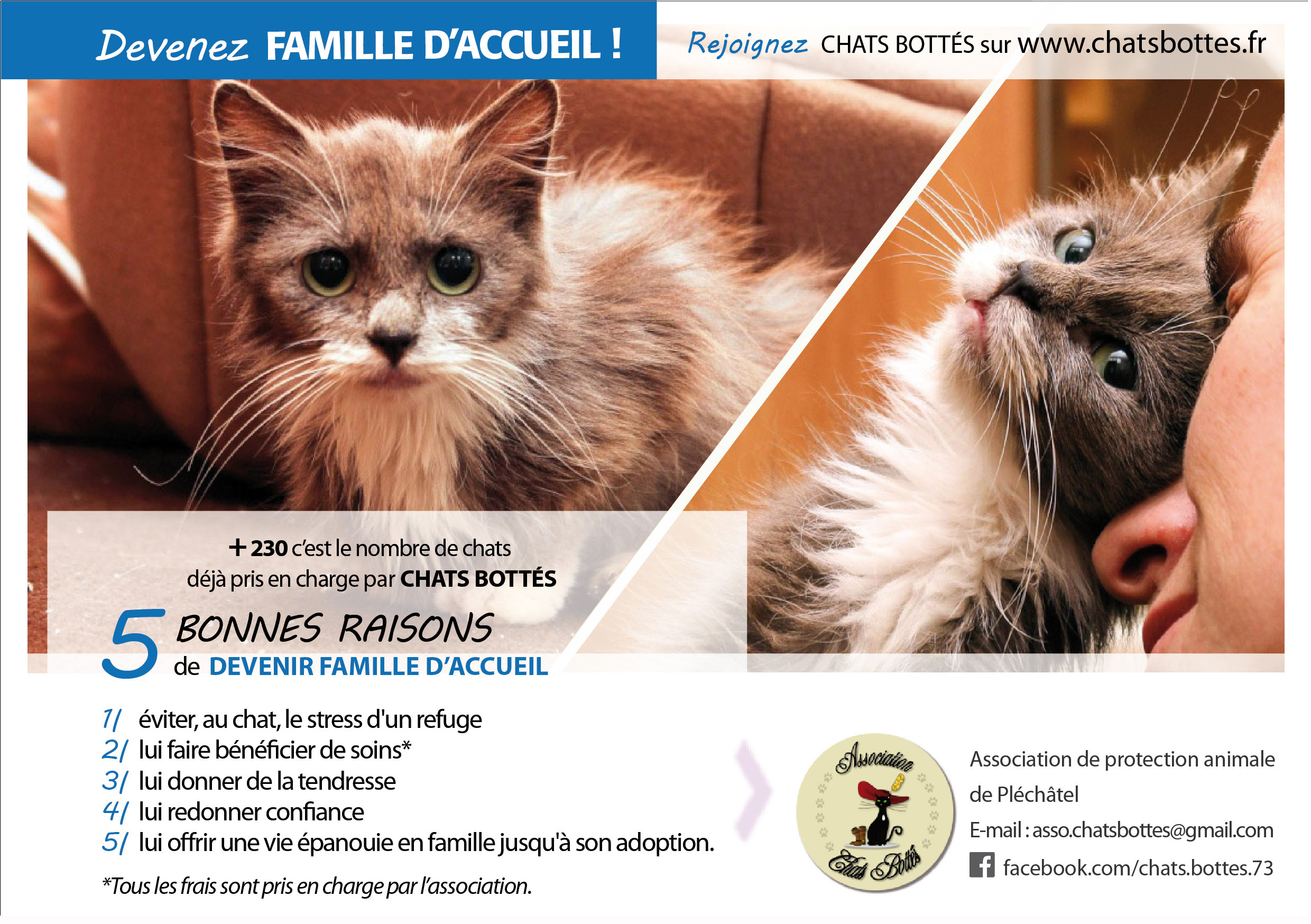 campagne d'affichage "Recherche de Familles d'Accueil (FA)" 175321CHATSBOTTESFLY2016A5srie1