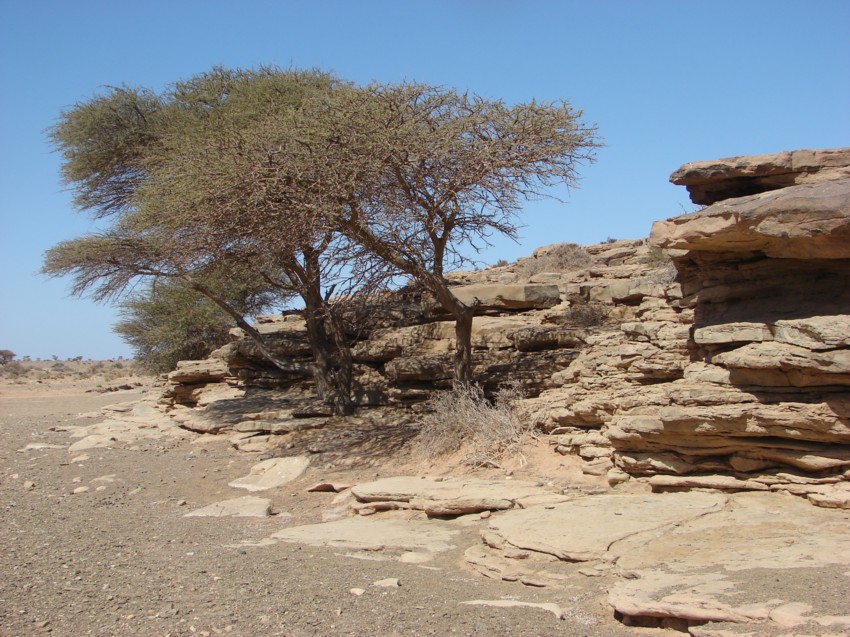 Le Grand Sud du Maroc - II 182817092