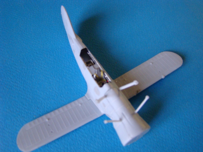 [Aéronavales 2014] [Heller] Curtiss SBC-4 TERMINE 184471DSC03262