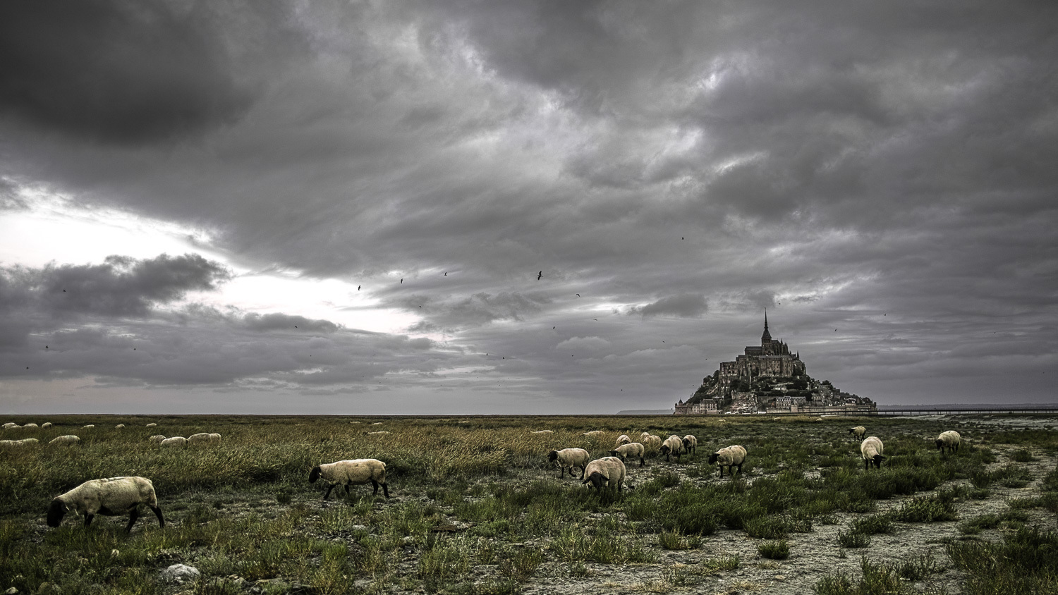 Le Mont St Michel 185510DP1M4298