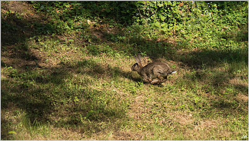 Au tour de l'Olt 185580LR4P1070142