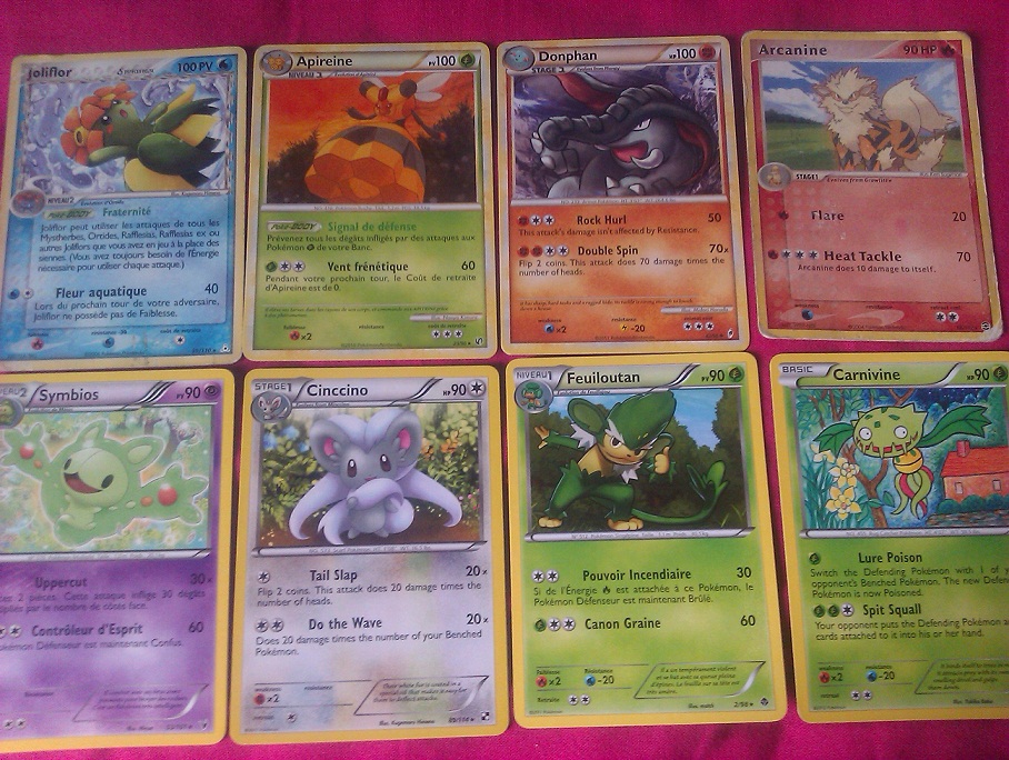 Cartes Pokémon (Boosters, Echanges...) 187963IMAG0957