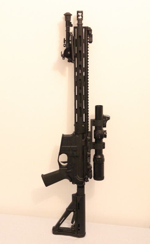 Bushmaster XM15E2S 189958IMG0261