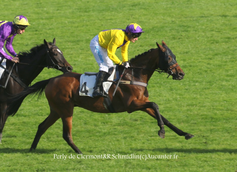 Photos Auteuil 9-10-2016 1907725J6A7885