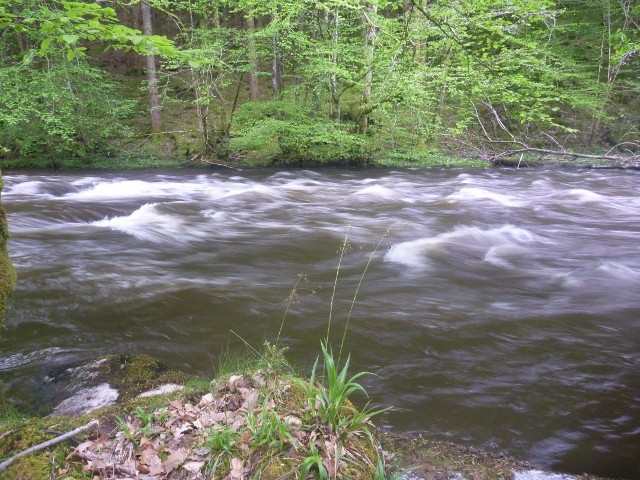 Le morvan en crue 196374P1110605640x480