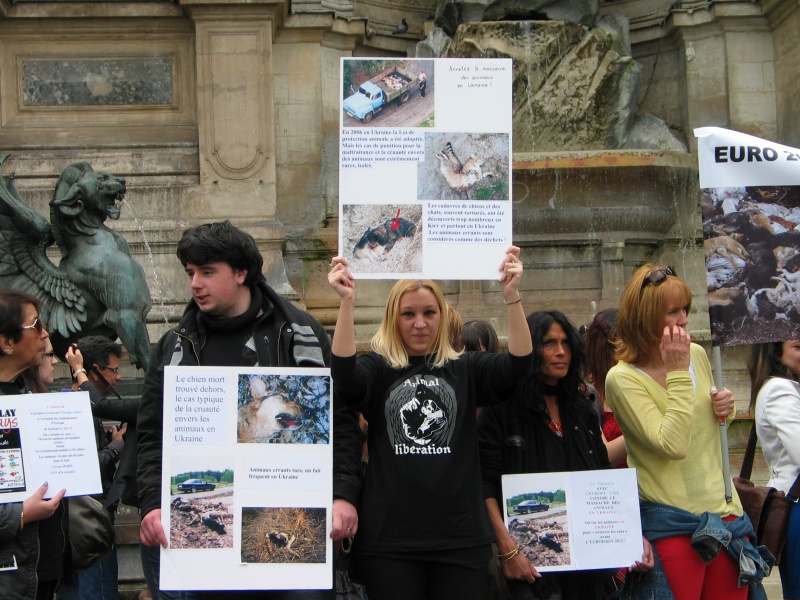 11 - Manifestation contre le massacre des animaux en Ukraine - 9 juin 2012 196762IMG9225
