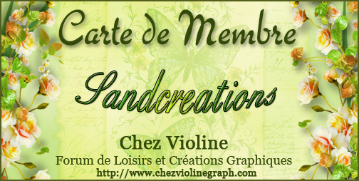 Carte de membre - Page 66 197843sandcreations