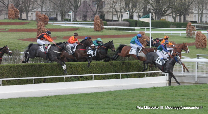 Photos Auteuil 27-03-2016 - Page 2 199802IMG9321