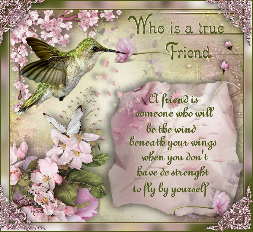 A TRUE FRIEND 202627Image2