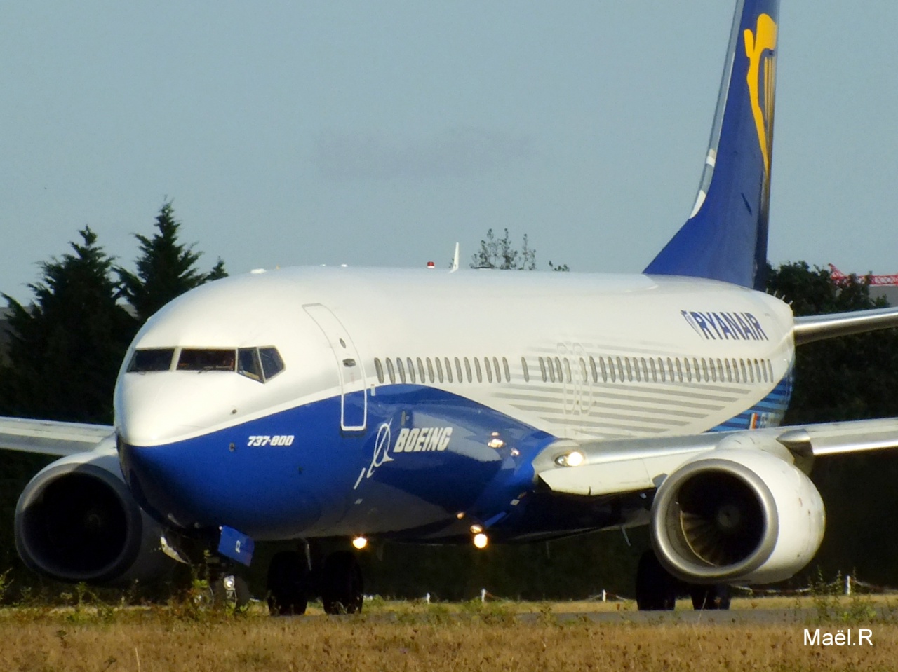 [19/10/2014] Boeing B737-800 (EI-DCL) Ryanair : "Dreamliner n/cs" 202853Octobren4353