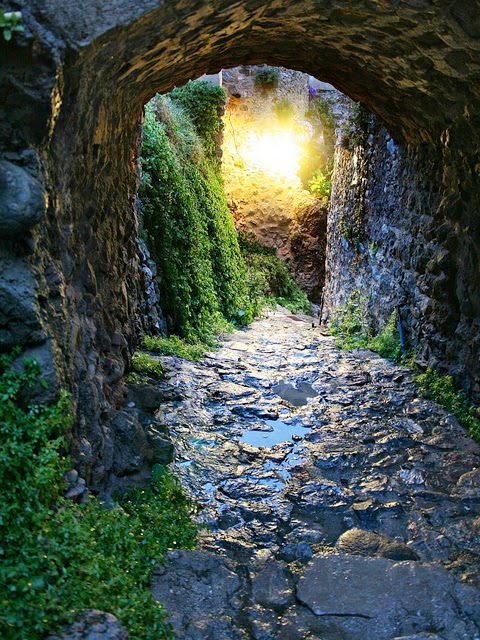 LE BISTROT OU L'ON CAUSE  " Aux cas faits d' la vie" - Page 6 203621Walkingintothelight