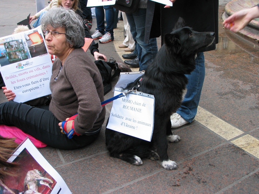 09 - Manifestation contre le massacre des animaux en Ukraine - 31 mars 2012 203673IMG8379