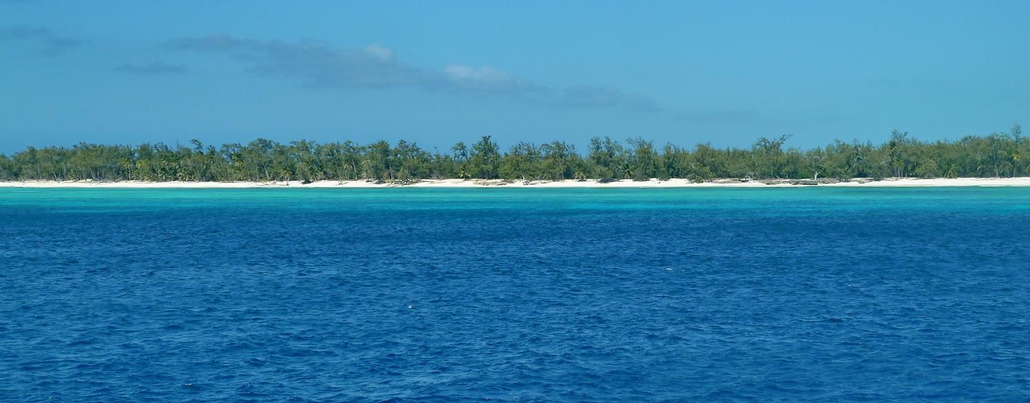 [Campagne] Iles éparses du canal du Mozambique - Page 13 204400Aldabra23