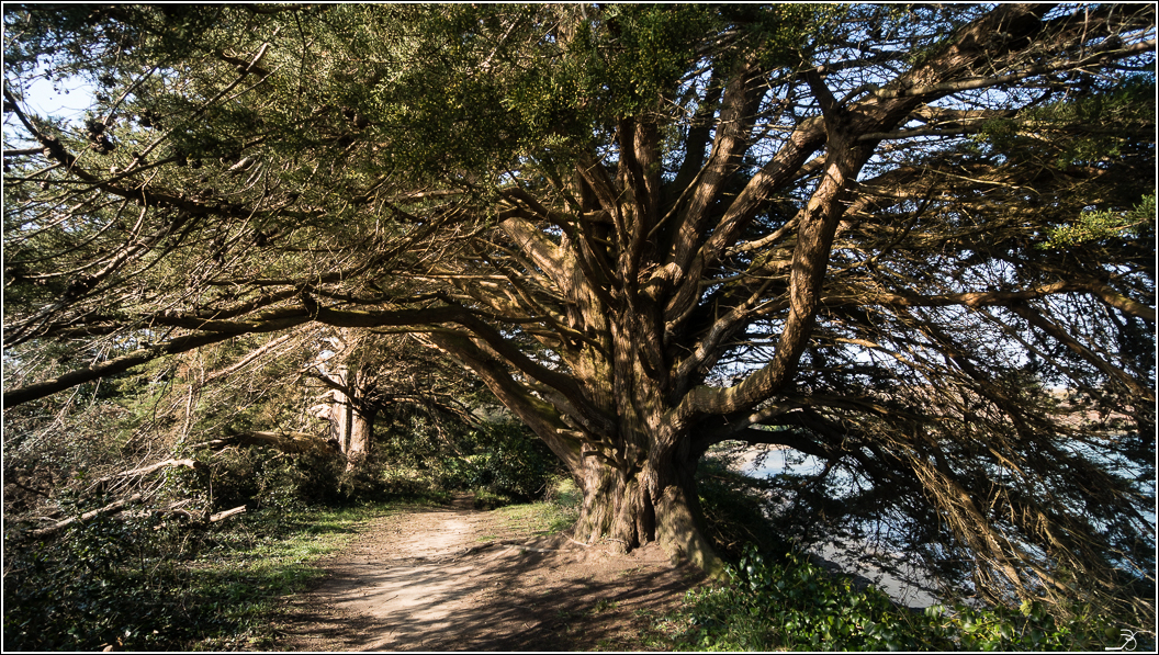 Morbihan, Arzon 204927LR6P3140116