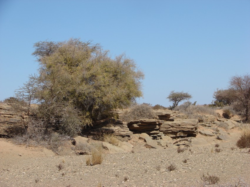 Le Grand Sud du Maroc - II 206715090