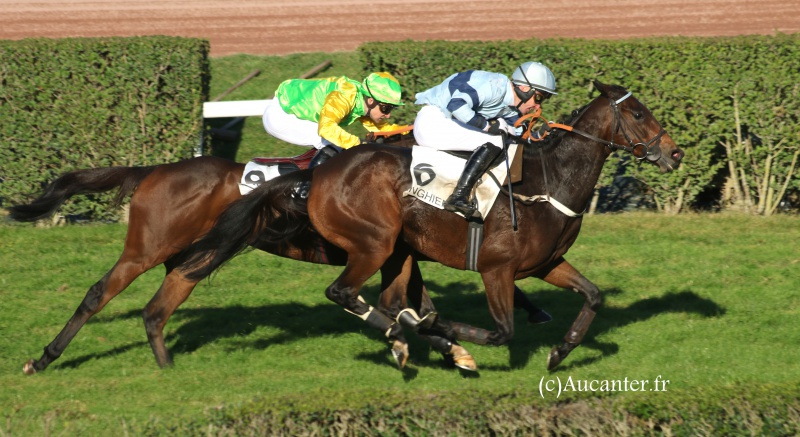 Grand Steeple-Chase d'Enghien 2016 (St., Gr.II, Enghien) 22-10 : Miss de Champdoux 2072455J6A9548