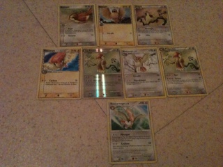 Les Jeux de Cartes Pokémon X et Y 209941IMG0590