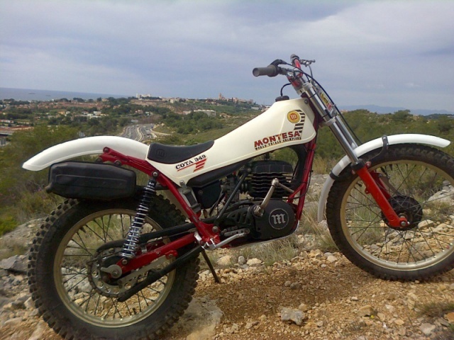 pour grimper aux arbres .......... montesa 349 - Page 5 210039349mo