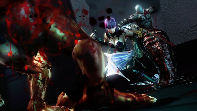 Toutes les images de Ninja Gaiden III : Razor's Edge 2113444153