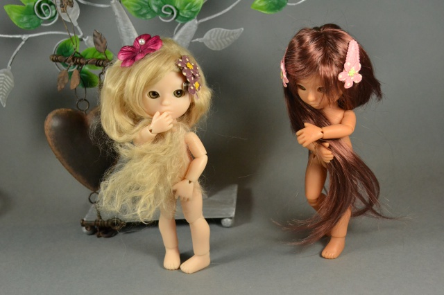 Fairytales Treasures Dolls par Nekochaton et Kaominy - Page 36 212450DSC8104