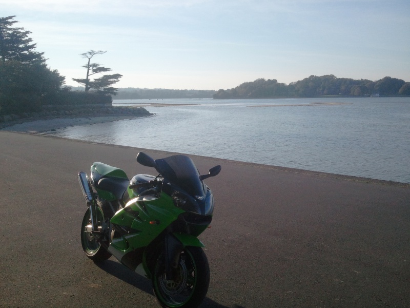 Mamie Zx6r de 2000 21286220111001182948