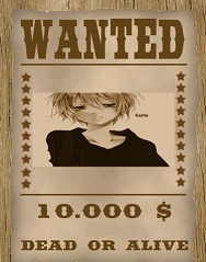 les affiches wanted  215643mesmontagesfrUL5EE56DDF