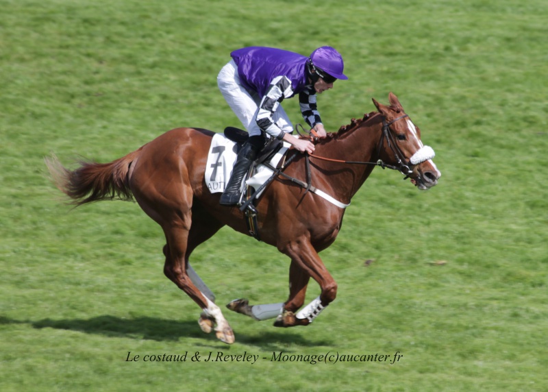 Photos Auteuil 27-04-2016 - Page 2 218608IMG1202