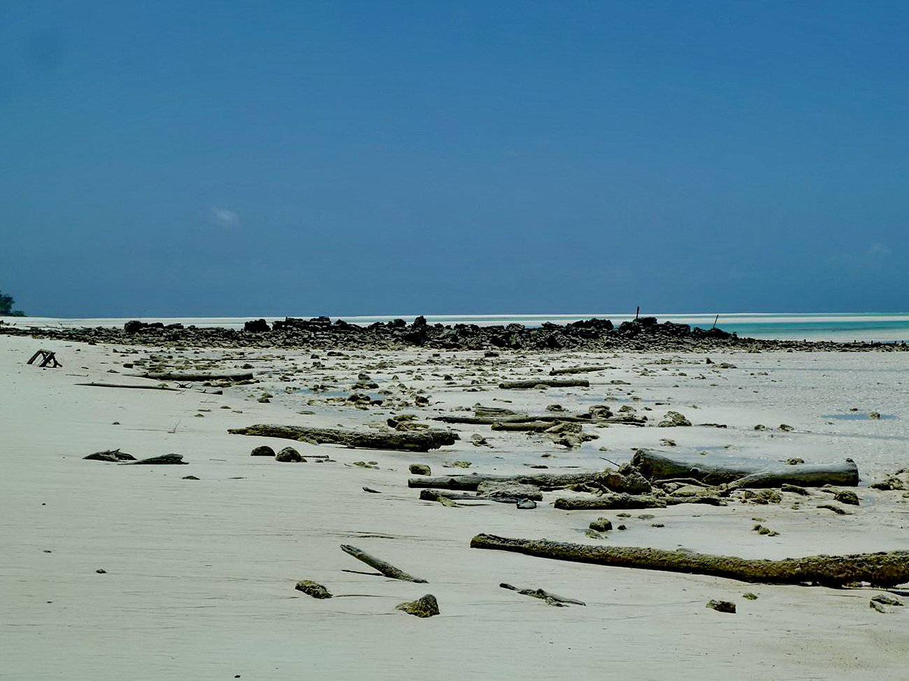 [Campagne] Iles éparses du canal du Mozambique - Page 12 219162P1060826