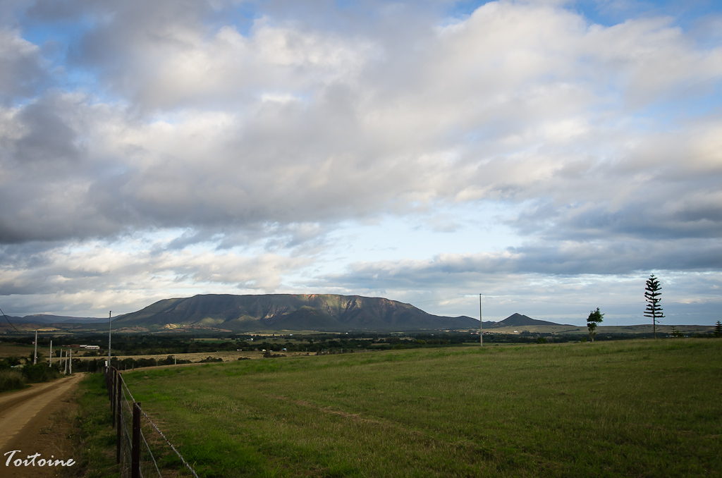 Paysages de la Grande Terre en Nouvelle-Calédonie 221310IMGP2017