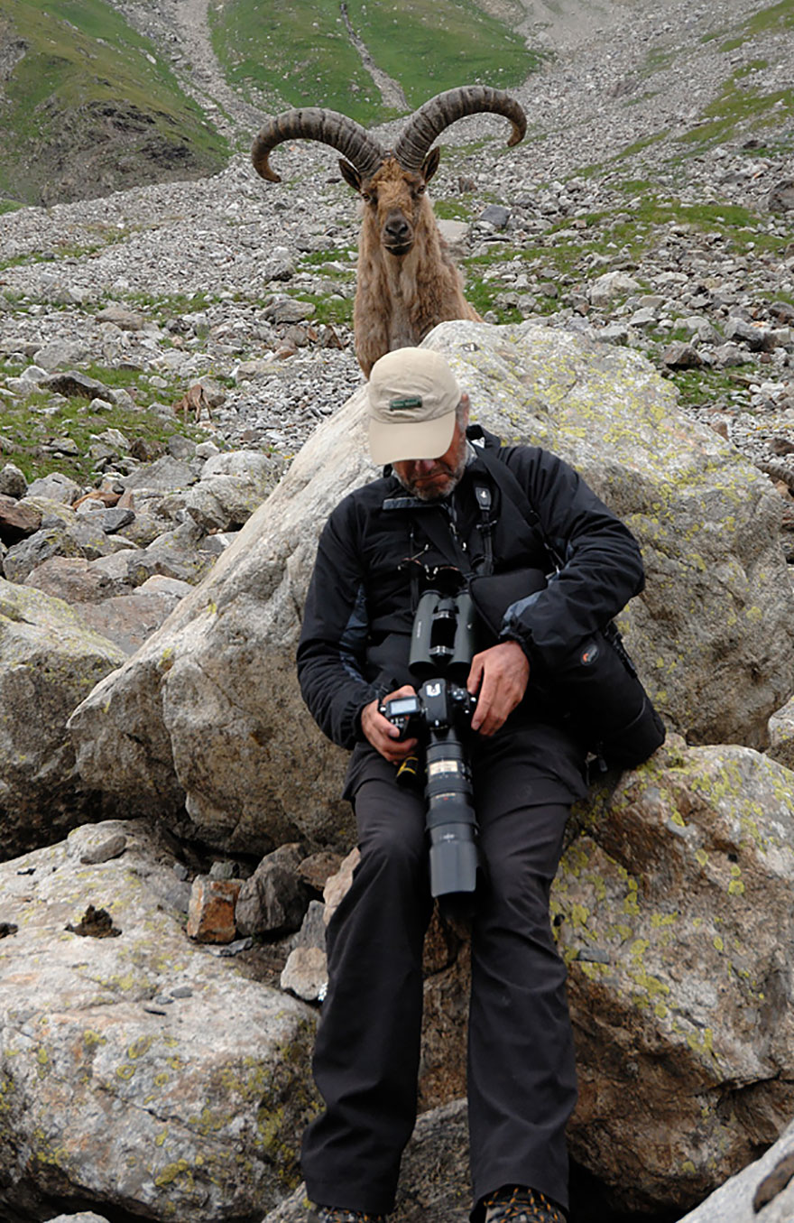 HUMOUR - Drôles de bêtes... - Page 19 223641funnyanimalphotobombs12880