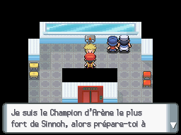 Du septième badge à la Ligue Pokémon 225311062