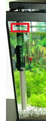 Lancement d'un aquarium 60L, besoin de conseil pour novice 228904thermo