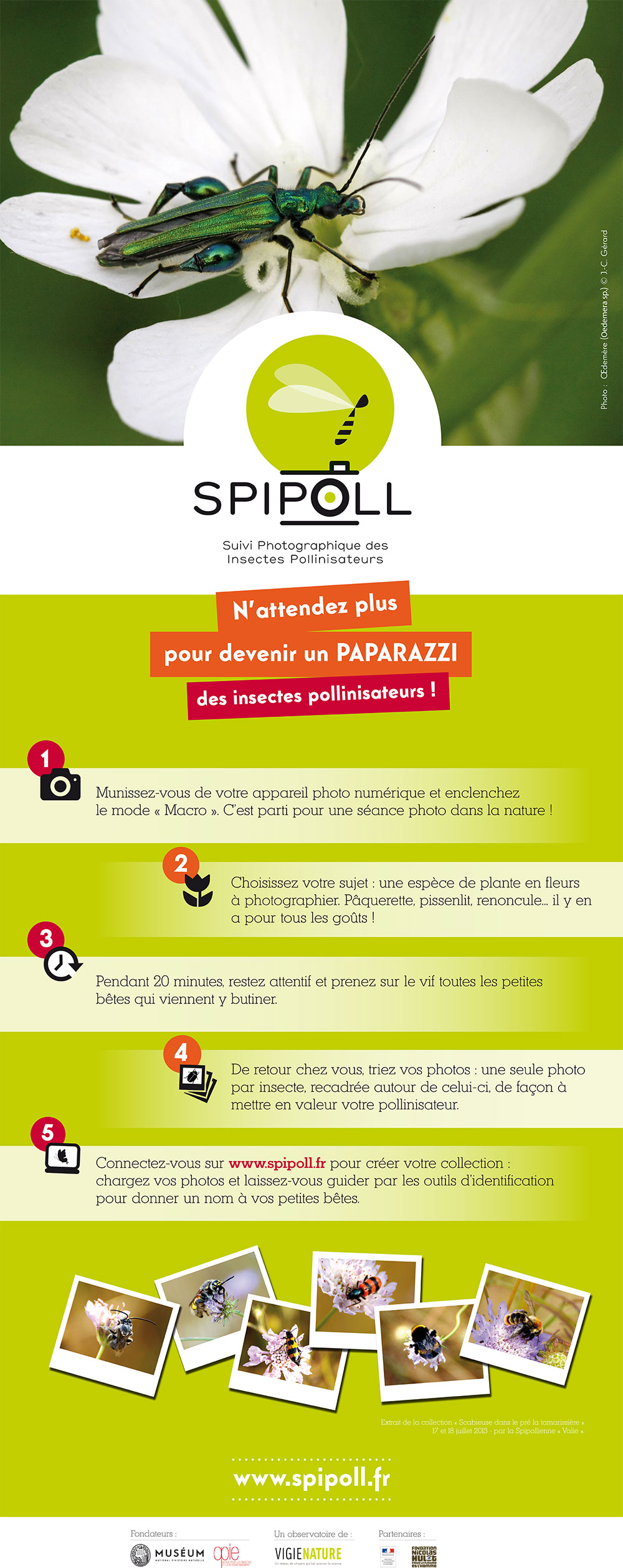 "Outils" pour les relais Spipoll 230109SpipollKakemono2017