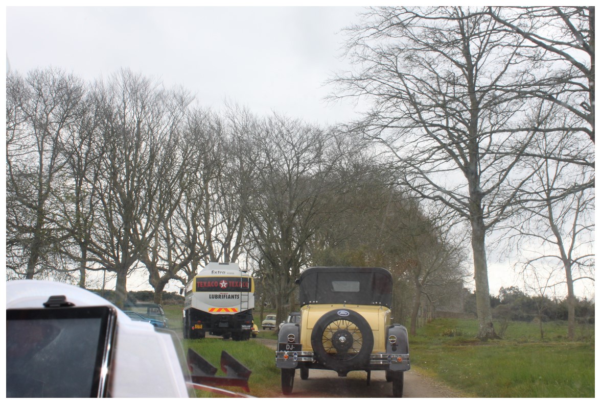 LA SORTIE des JONQUILLES du CALANDRE & TORPEDO 2016 230321IMG5896Copier