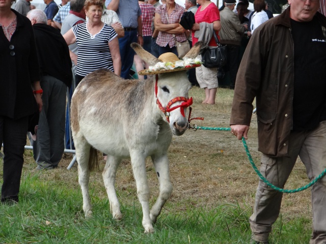 foire aux poulains  230336DSC00937