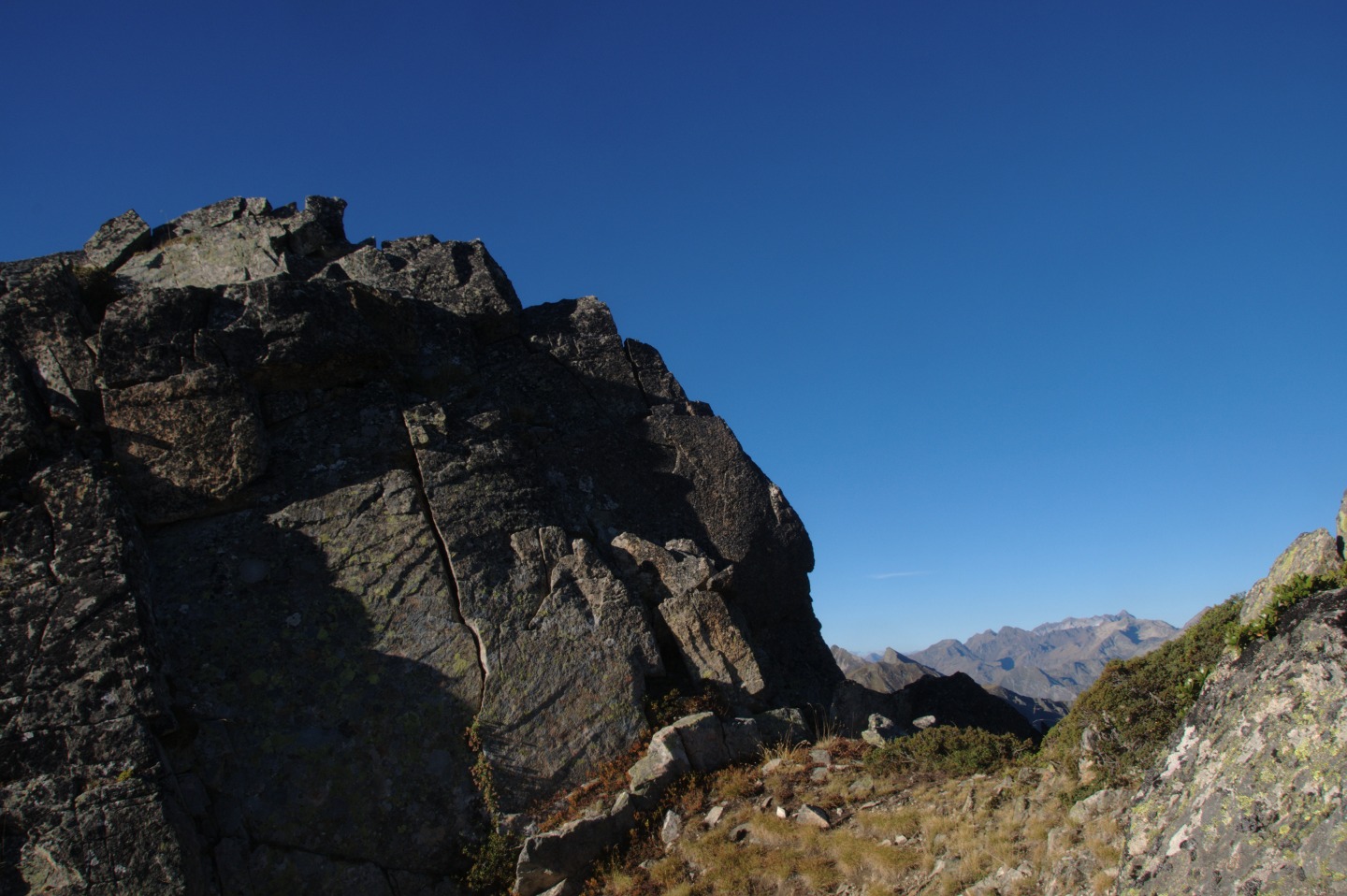 Une vie pyrénéenne de labrit des pyrénées - Page 15 231314cra0449